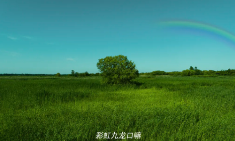QQ截图20240604073318.png