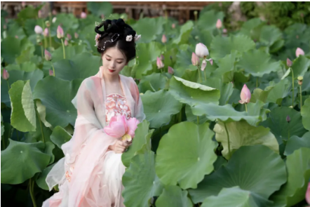 QQ截图20240610195548.png