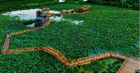 QQ截图20240618080020.png