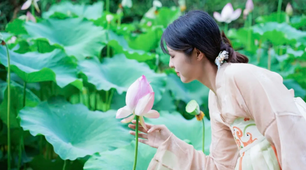 QQ截图20240618080205.png