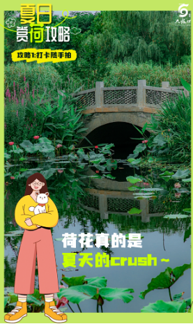 QQ截图20240705003757.png