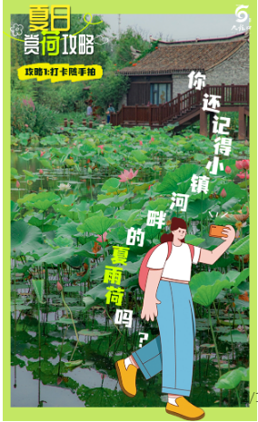 QQ截图20240705003845.png