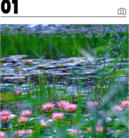 QQ截图20240710212505.png