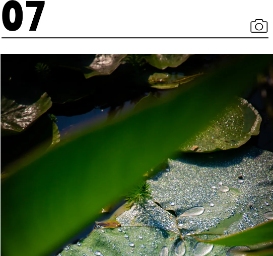 QQ截图20240710212654.png