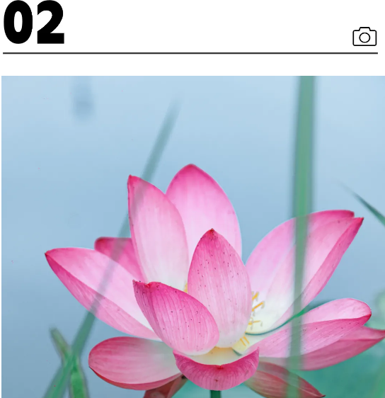 QQ截图20240710212517.png
