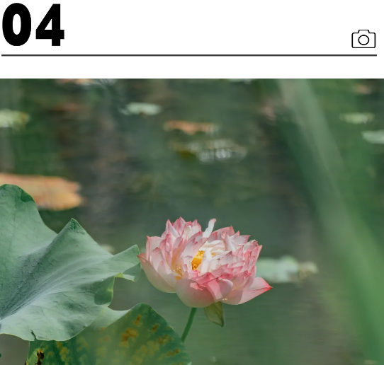 QQ截图20240710212550.png