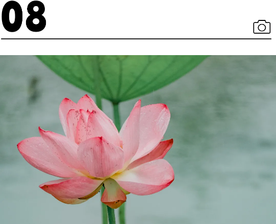 QQ截图20240710212710.png