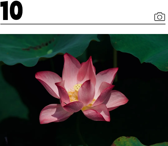 QQ截图20240710212736.png