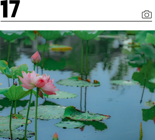 QQ截图20240710213924.png