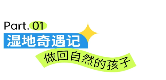 QQ截图20240712004958.png
