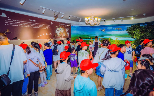 QQ截图20240712005014.png