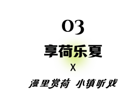 QQ截图20240723131703.png